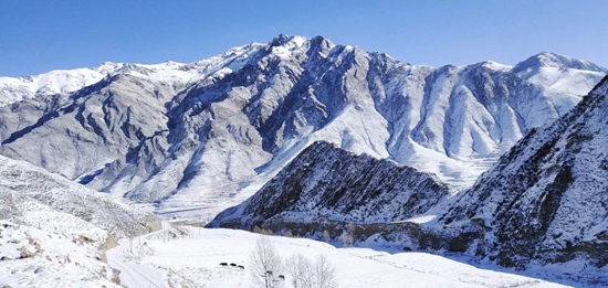 tibet3.jpg